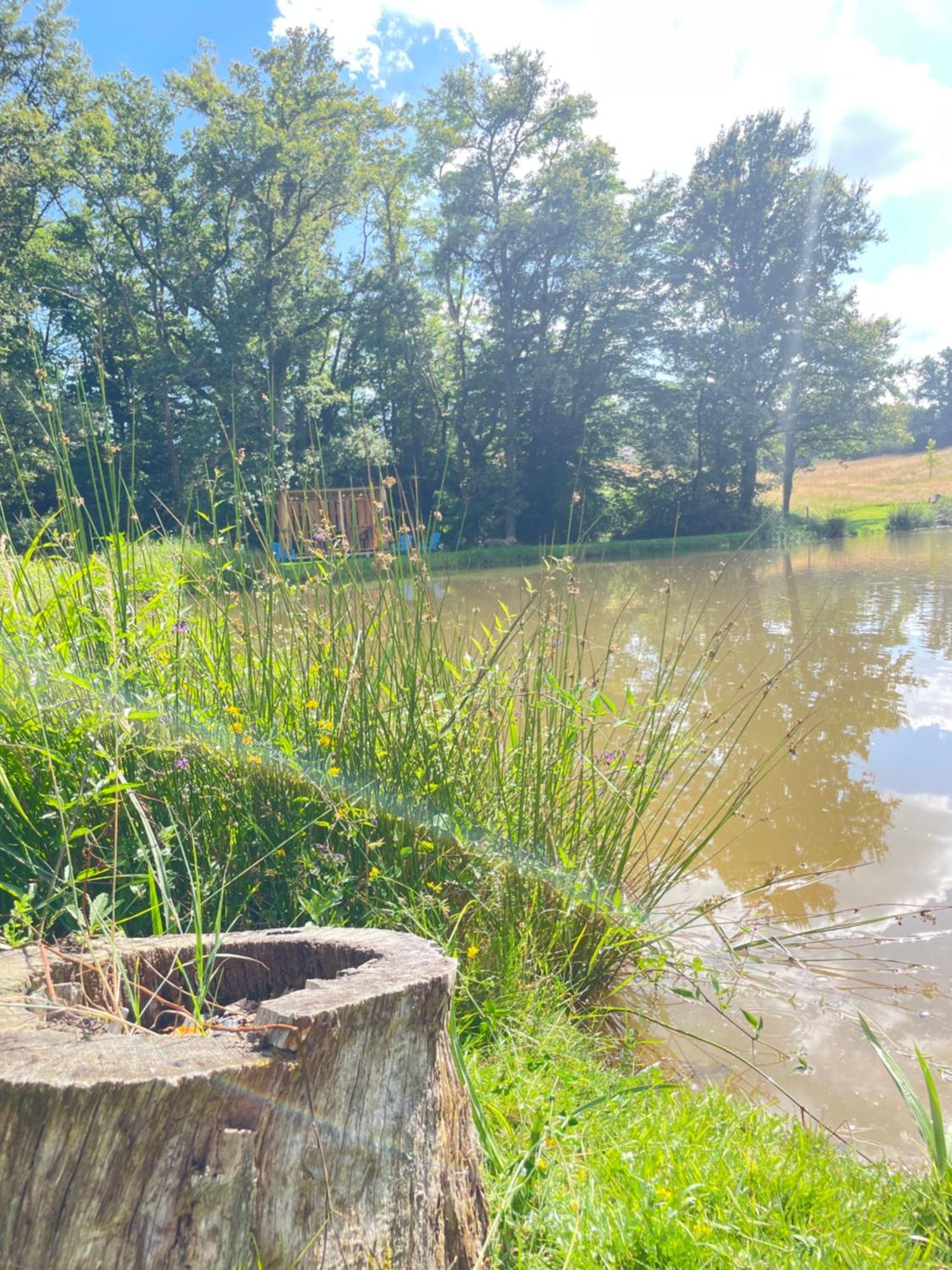Gite Neuf Avec Jardin, Foret Et Etang Argenton Sur Creuse Exteriör bild